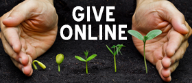 Give Online
